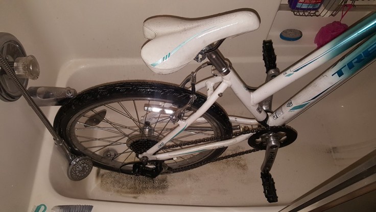 10294327_10153882964107224_4345108572708880048_n